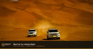 Best Car for Kenya Safari: 4WD, SUV or Saloon?