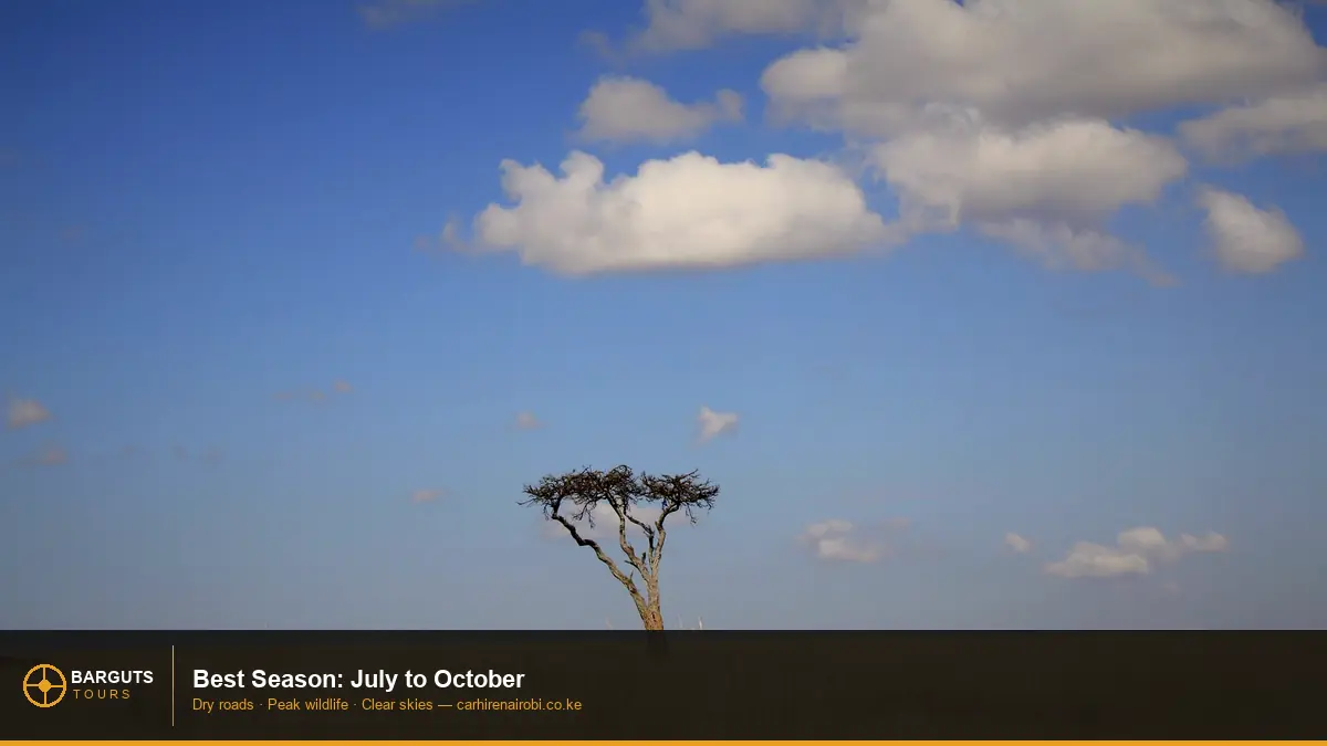 Kenya dry season July savannah golden grass — best season for road trip from Nairobi