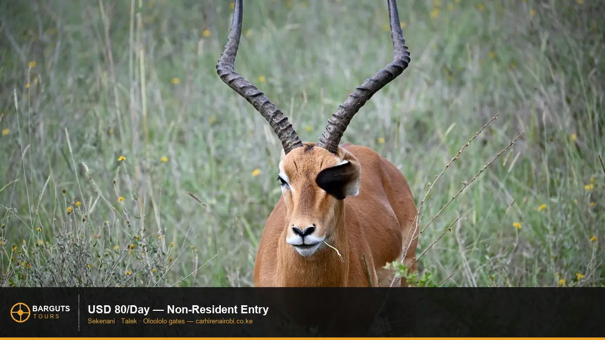 Kenya national park wildlife reserve entrance gate — Maasai Mara entry fees 2026 non-resident USD 80