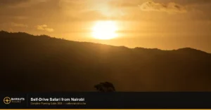 Self-Drive Safari Nairobi: Complete Planning Guide 2026