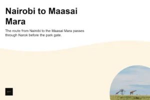 Nairobi to Maasai Mara Car Hire & Self-Drive Guide 2026 | Barguts Tours