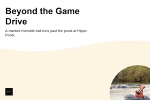 What Can You Do in Nairobi National Park Besides a Game Drive?