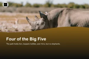 What Animals Live in Nairobi National Park? Does It Have the Big 5?