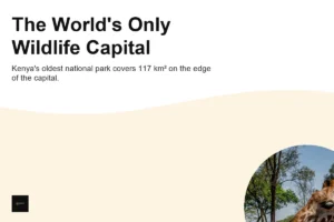 What Is Nairobi National Park? Facts and Unique Features
