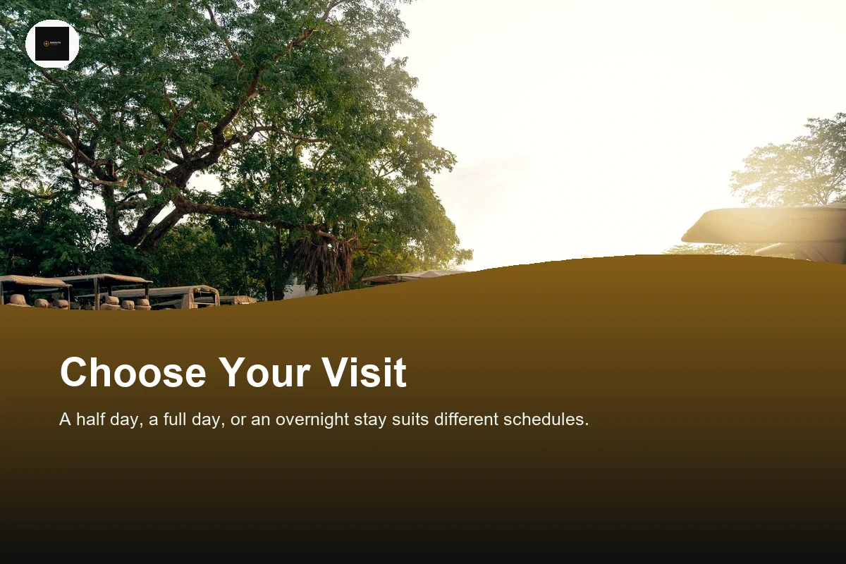 A scenic safari experience showcasing parked jeeps under sunlight on a dirt