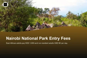 How Much Are Nairobi National Park Entry Fees for Citizens, Residents, and Foreigners?