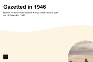 Is Nairobi National Park Gazetted? History and KWS Management