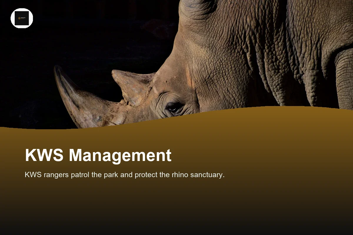 Stunning close-up of a rhino at night showcasing its powerful horn and