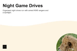 Can You Do a Night Game Drive in Nairobi National Park?
