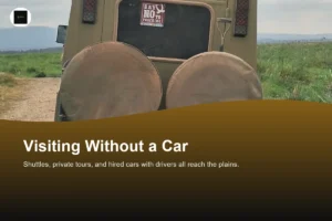 Can You Visit Nairobi National Park Without a Car? Bus Tours and Private Tours