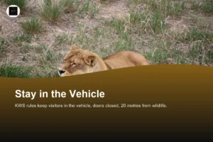 Is Nairobi National Park Safe?