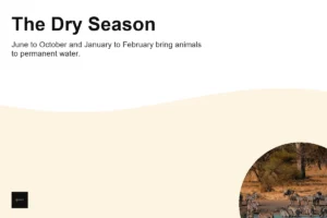 What Is the Best Time to Visit Nairobi National Park, and What Is the Weather Like?