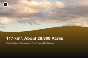 How Big Is Nairobi National Park in Acres?