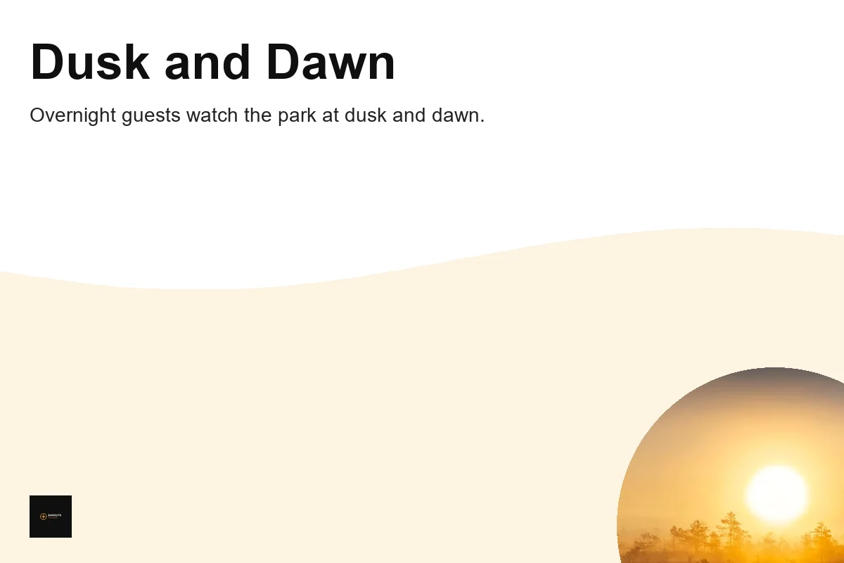 Golden sunrise illuminating a misty bog with trees in a tranquil, natural
