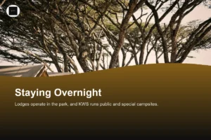 Can You Stay or Camp in Nairobi National Park? Hotels and Campsites