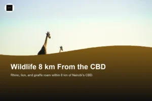 Is Nairobi National Park Worth It?
