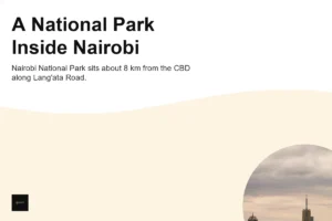 Is Nairobi National Park in the City? How Far It Is From the CBD