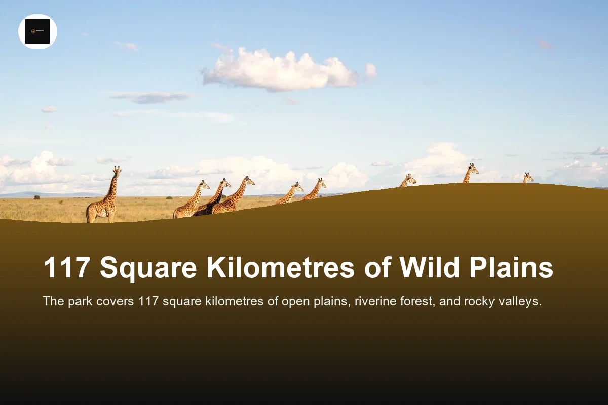 Group of giraffes walking across open savanna near Nairobi