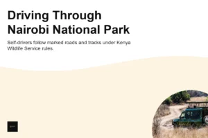 Can You Drive Through Nairobi National Park?