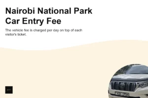 How Much Is the Car Entry Fee for Nairobi National Park?