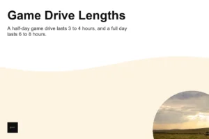 How Long Is a Game Drive in Nairobi National Park? Half-Day, Full-Day, and Day Trips