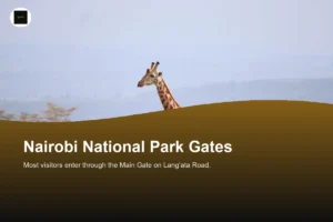 Which Gate Do You Use to Enter Nairobi National Park?